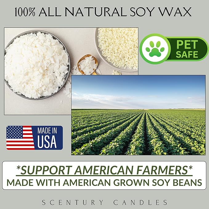 English Garden Floral Scented Candle, Many Scents to Choose from, All Natural Non-Toxic Soy Wax, Handmade in The USA (English Garden)