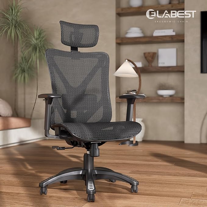 ELABEST T23 Ergonomic Office Chair with 2D Lumbar Support & 3D Headrest, High Back Mesh Swivel Chair with Adjustable 3D Armrests, Breathable Computer Desk Chair for Long Hour Sitting (Graphite Black)