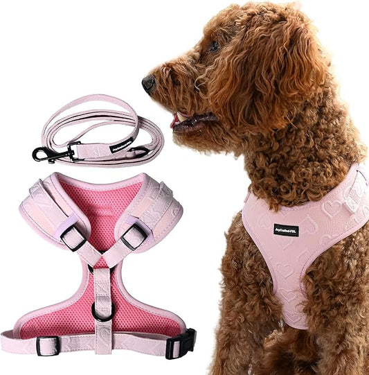 No Pull Puppy Harness and Leash Set – No Choke Neoprene Dog Harness for Extra Small Dogs (5–15lbs) Pink XS, Lightweight Breathable Mesh with Unique Heart Pattern, Adjustable Fit