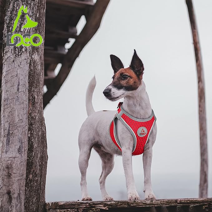 DOCO Dog Harness (Chest 14.5"-15.5", Weight 6–10 lbs) Athletica Adjustable Heavy Duty No Choke Puppy Vest for Small Dogs Lightweight Air Mesh, Reflective, Puppy Essentials – Gray, Small