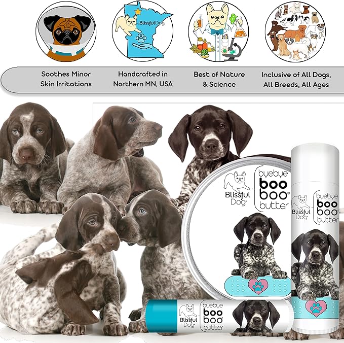 The Blissful Dog 8 oz TIN German Shorthaired Pointer Booboo Butter