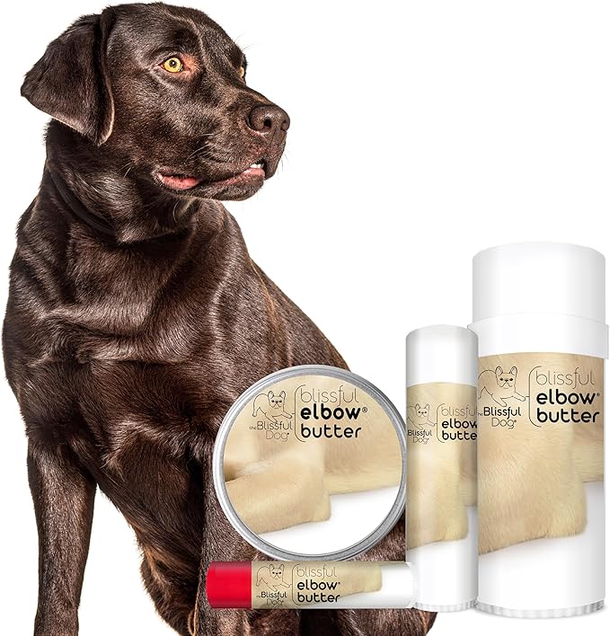 The Blissful Dog Elbow Butter for Dry, Cracked Calluses, Lick-Safe Dog Balm, Soothing Elbow Balm with Moisturizing Shea Butter, Almond, Olive, and Essential Oils, Pet Supplies, 16 oz. Tin