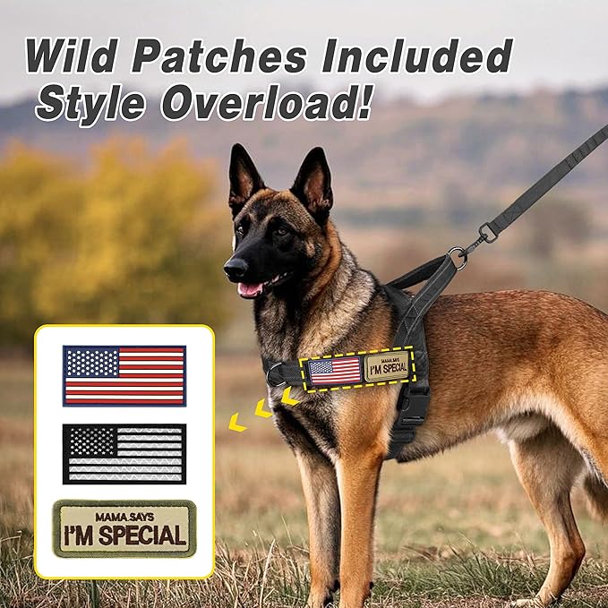 Forestpaw No Pull Dog Harness with Flannel Lining, Reflective Escape Proof Vest for Large Dogs, Quick Release Comfortable for Walking Training (Includes Patches),Black XL
