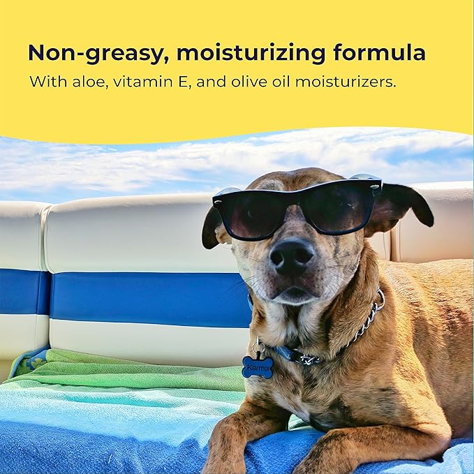 Gentle Creatures Dog Sunscreen - SPF 30+ With Skin Moisturizing Vitamin E and Olive Oil - No Zinc Oxide Safe for All Dogs and Cats - Dog Beach Accessories, Dog Camping Gear, Sunscreen for White Dogs
