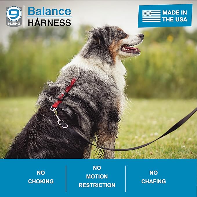 Blue-9 Buckle-Neck Balance Harness, Fully Customizable Fit No-Pull Harness, Ideal for Dog Training and Obedience, Made in The USA, Red, Medium