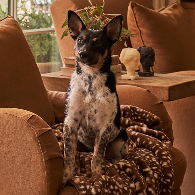 UnHide Lil’ Pet Marsh – Faux Fur Pet Blanket – Extra Soft, Lightweight, Washable Dog Blanket – Comfort and Protection for Couch, Crate, or Bed – Deer