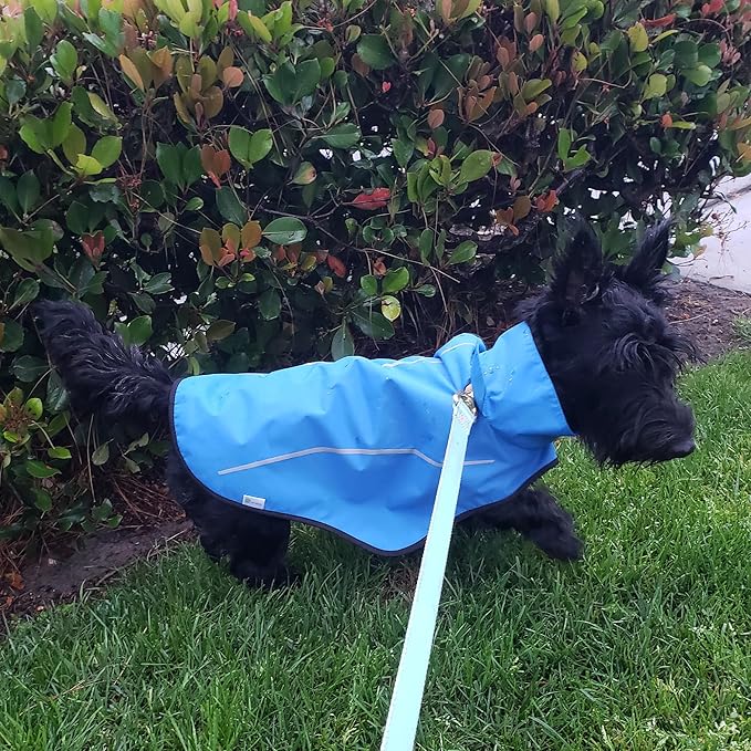 Mile High Life Dog Raincoat, Adjustable Waterproof Reflective Rain Jacket for Small Medium Large Dogs, Lightweight Breathable Pet Rain Coat with Leash Hole(Blue,S Chest 22-25")