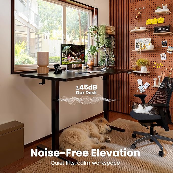 ErGear Height Adjustable Electric Standing Desk, 63 x 27.5 Inches Sit Stand up Desk, Large Memory Computer Home Office Desk with Two-Piece Desktop (Black)