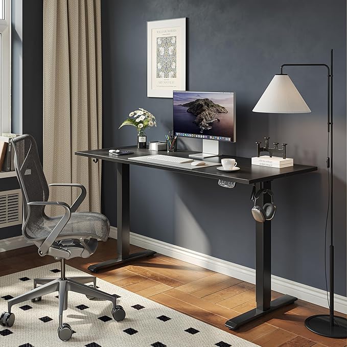Agilestic Electric Standing Desk, 48 x 24 Inches Height Adjustable Desk, Sit Stand up for Work Office Home, Ergonomic Rising Gaming Computer Table with Memory Preset, Black