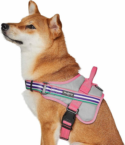 Blueberry Pet Soft 3M Reflective Dog Harness Vest | Mesh Padded No-Pull Harness with Back Clips | Multicolor Stripe in Pink, Emerald and Orchid| Adjustable for Large Dogs
