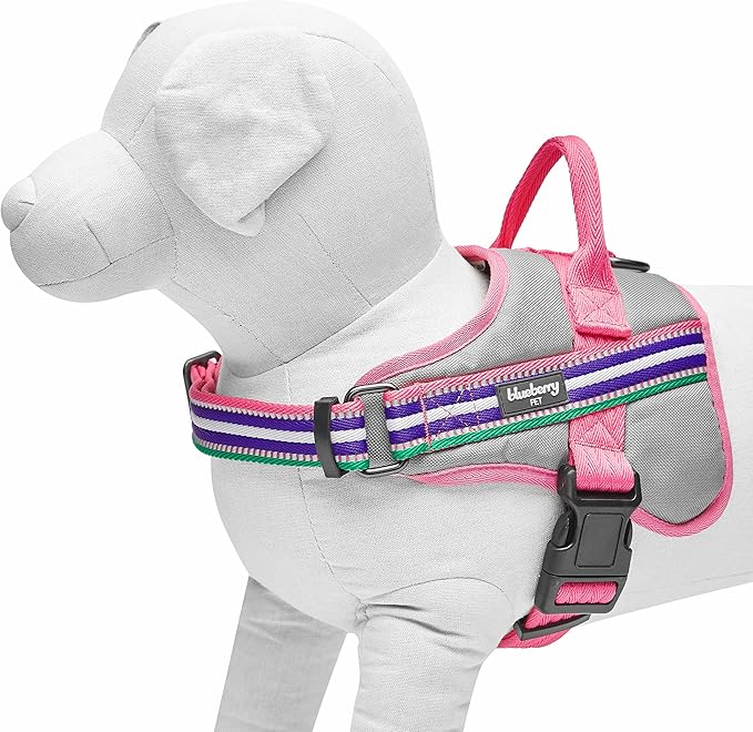 Blueberry Pet Soft 3M Reflective Dog Harness Vest | Mesh Padded No-Pull Harness with Back Clips | Multicolor Stripe in Pink, Emerald and Orchid| Adjustable for Large Dogs