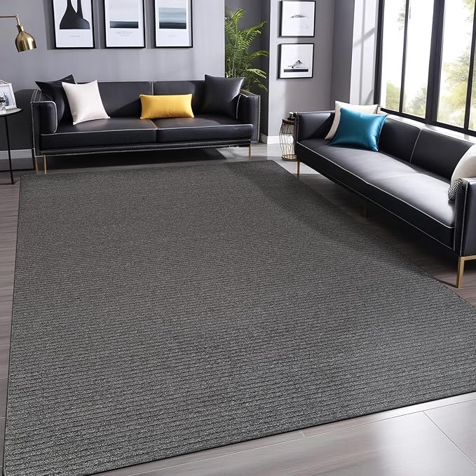 Non Slip Gray Solid Rubber Back Thing Rug for Living Room 3x5 Area Rugs for Kitchen, Rugs for Bedroom, Stain Resistant Easy Cleaning Non Shedding Carpet Gray 3 x 5