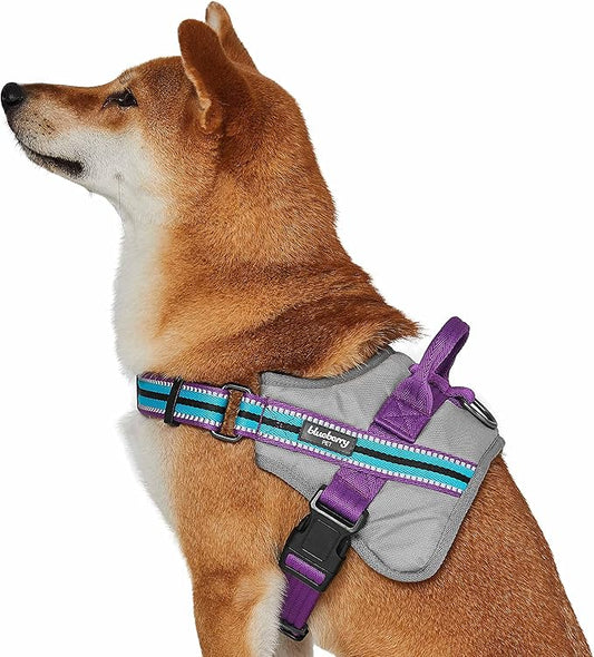 Blueberry Pet Reflective Dog Harness Medium Sized Dog Pink Dog Harness for Large Dogs