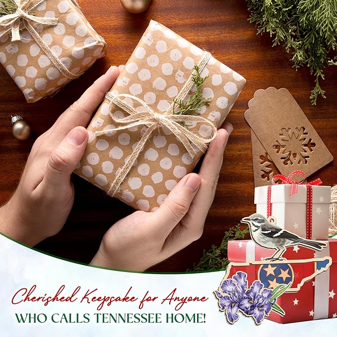 FLAGWIX Christmas Tennessee Gifts for Women Men - Suncatcher Tennessee Christmas Ornaments 2025 - State Ornaments for Tree with Mockingbird and Purple Iris, Xmas Decorations Gifts for Friend Family
