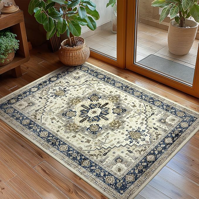 Small Rugs Door Mat 2x3 - Washable Entry Area Rugs Entrance Floor Carpet Non-Slip Door Mat Thin Rug Low-Pile Doormat for Bedroom Kitchen