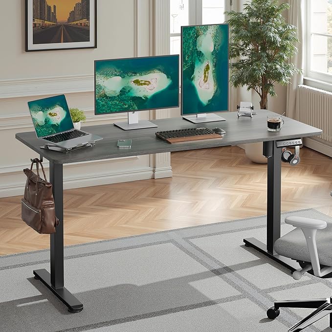 Casaphoria 55 x 24 inches Electric Standing Desk, Sit to Stand Desk with Memory Height Adjustment, Home Office Computer Desk for Writing and Games, Grey