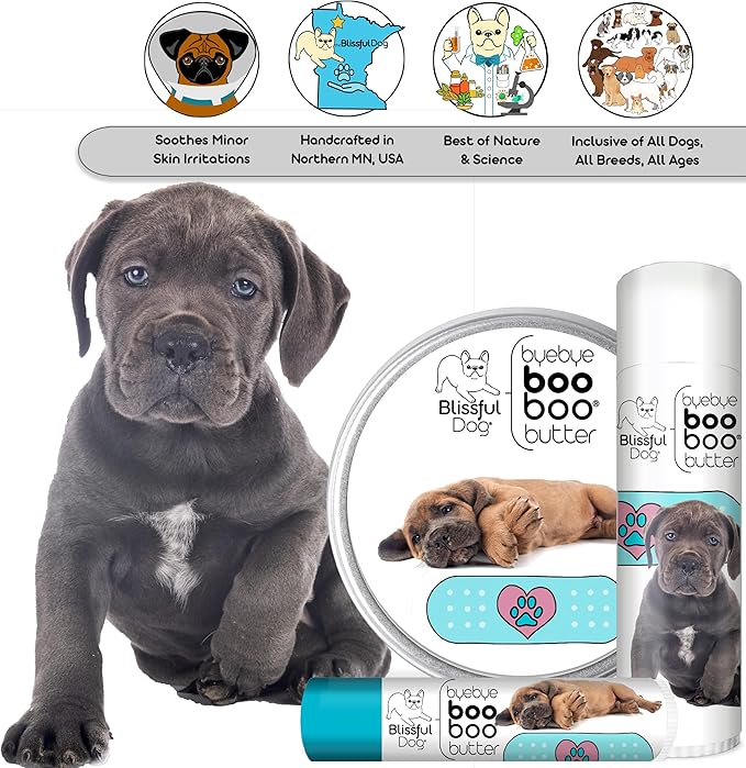 The Blissful Dog Cane Corso Boo Boo Butter, 4-Ounce