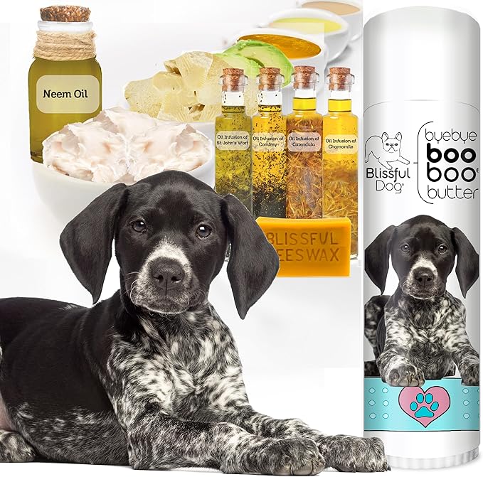 The Blissful Dog .50 oz Tube German Shorthaired Pointer Booboo Butter