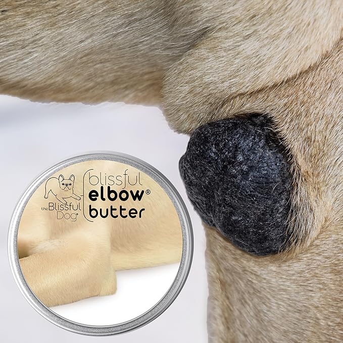 The Blissful Dog Elbow Butter for Dry, Cracked Calluses, Lick-Safe Dog Balm, Soothing Elbow Balm with Moisturizing Shea Butter, Almond, Olive, and Essential Oils, Pet Supplies, 16 oz. Tin