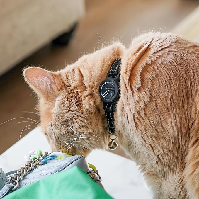 Tile Sticker Cat Collar Holder (2024): The Smallest, Lightest, and Most Comfortable Tracking Case for Cats - Track Your Pet with iPhone Samsung Android Device - Life360 for Boy Girl Kittens (Blue)