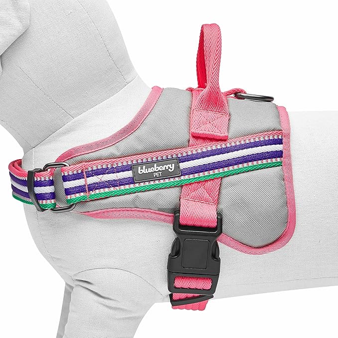 Blueberry Pet Pink Dog Harness - Award Winning Medium Sized No Pull Dog Harness with Handle, Reflective Vest for Safety-Conscious Urban & Outdoor Enthusiasts, 3M Night Visibility